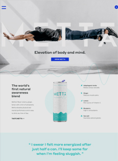 Website template preview